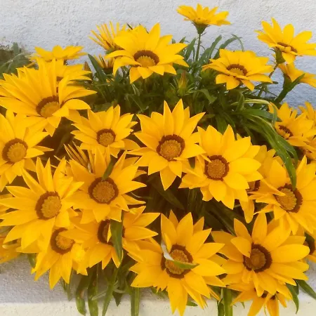 In - Casa Da Penha Ferrim