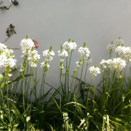 In - Casa Da Penha Ferrim 度假居