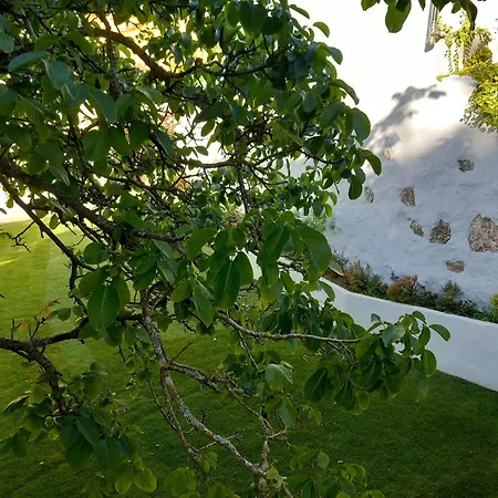 In - Casa Da Penha Ferrim Vakantiehuis *