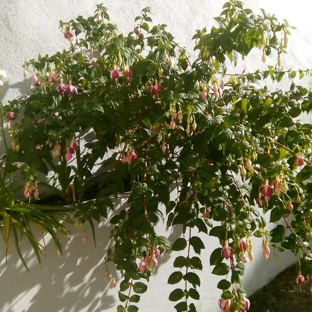 Vakantiehuis In - Casa Da Penha Ferrim Sintra